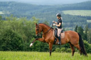 Milé moje, nevydržela jsem čekat na atelierové focení rajtek a dala jsem je už na e-shop do předprodeje ✌🏼 Takže, kdo si...